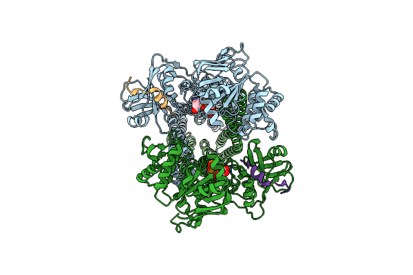 7T55 image