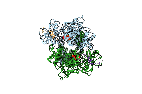 7T56 image
