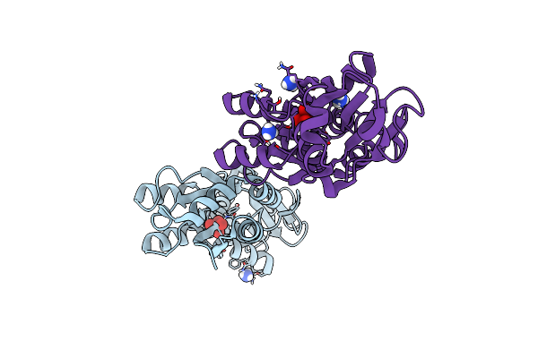 7T5A image