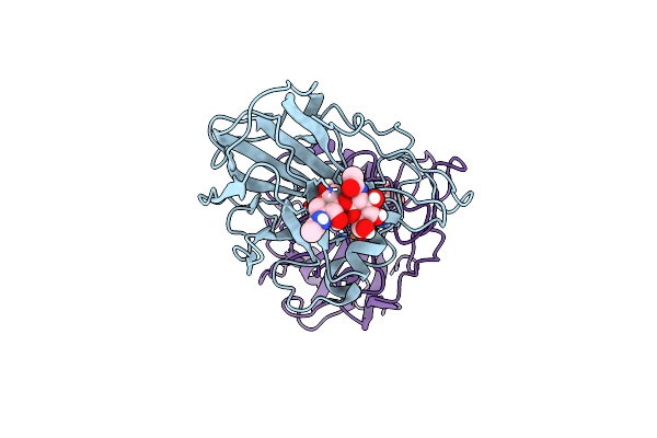 7T5D image