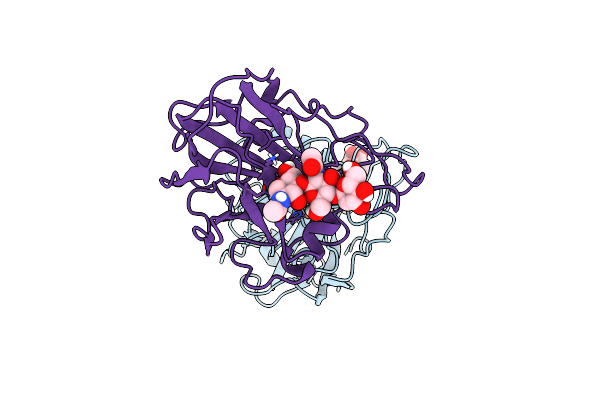 7T5E image