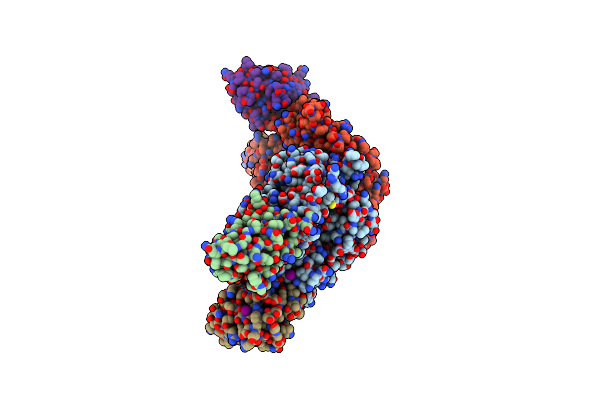 7T5F image