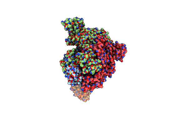 7T5O image