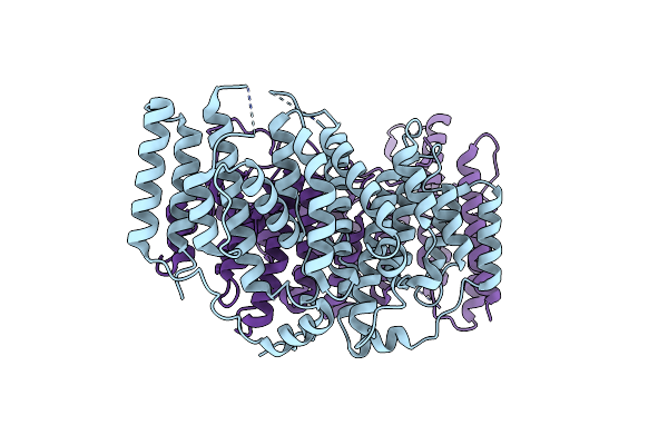 7T5P image