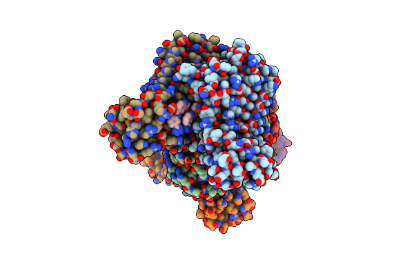 7T5R image