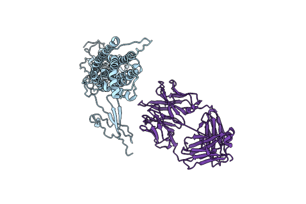 7T62 image