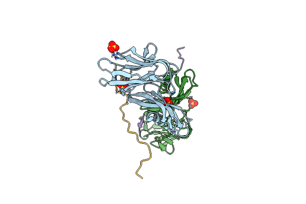 7T6A image