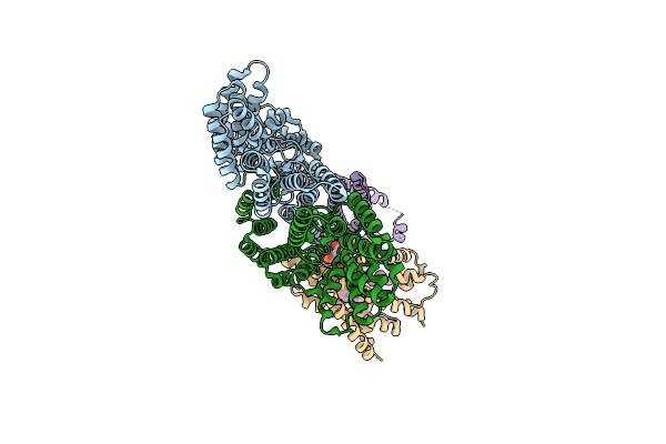 7T6D image
