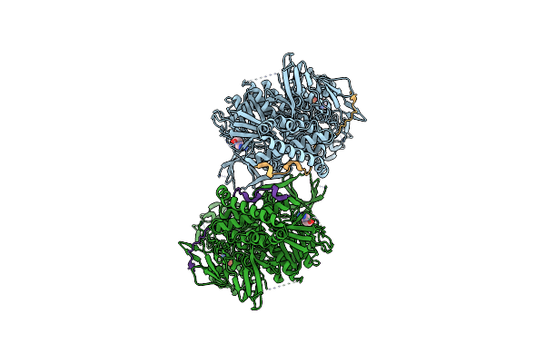 7T6F image