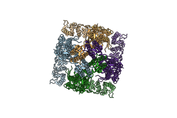 7T6K image