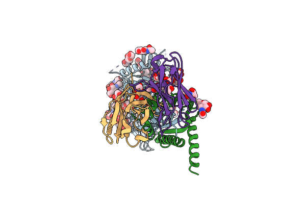 7T75 image