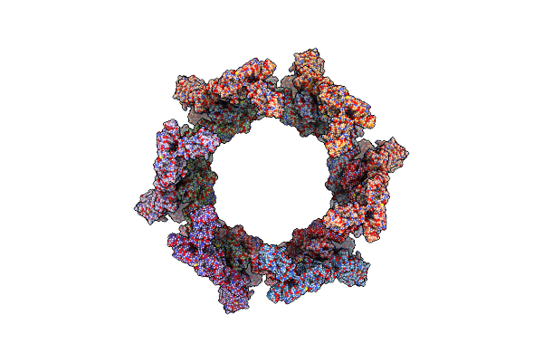 7T7C image