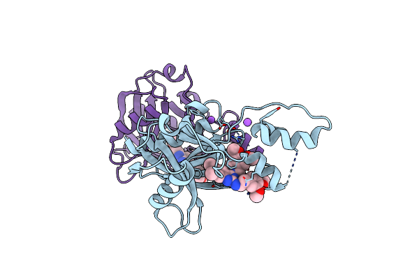 7T7H image