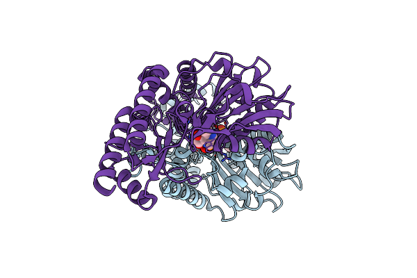7T7J image