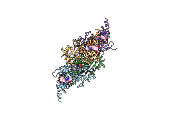 7T7L image