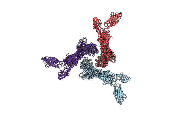 7T7R image