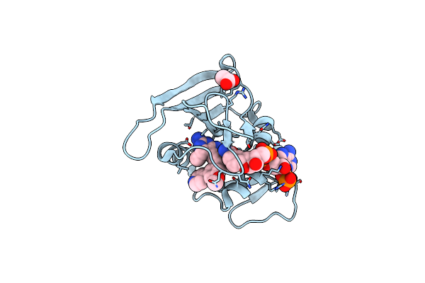 7T7S image