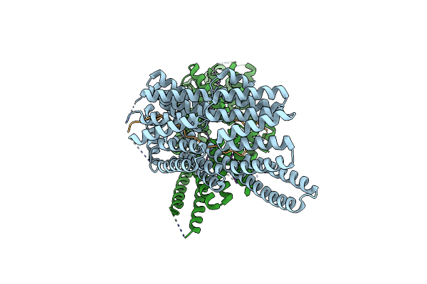 7T7T image