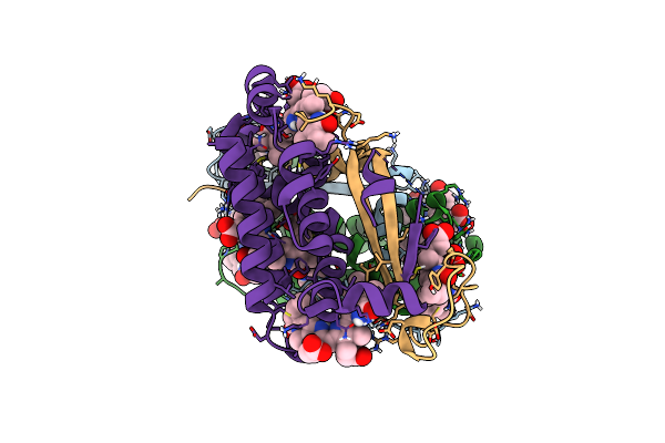 7T7U image