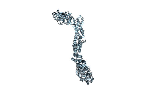 7T7V image