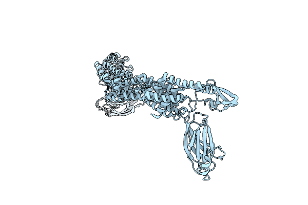 7T7X image