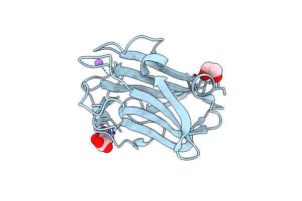 7T7Z image