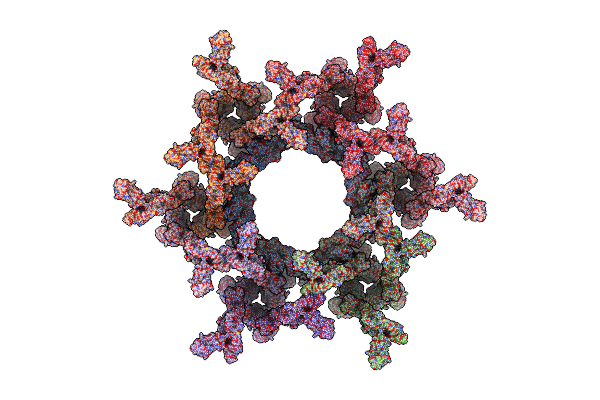 7T81 image
