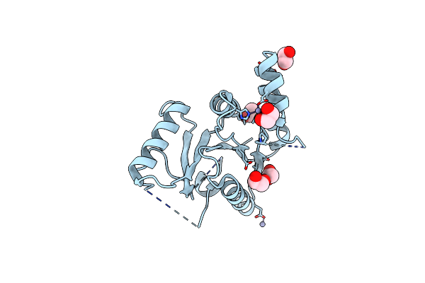 7T85 image