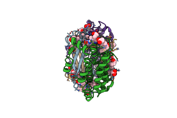 7T89 image