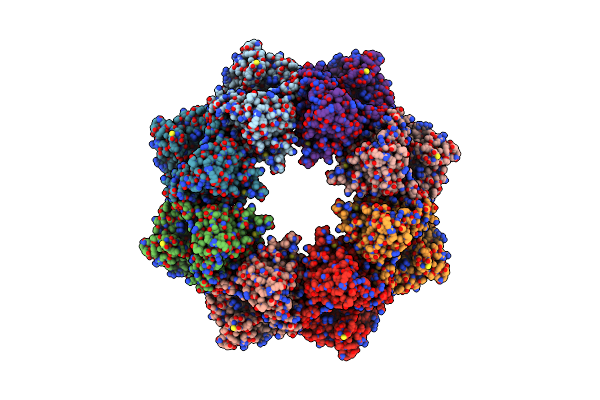 7T8B image