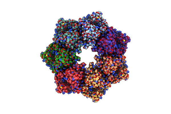 7T8C image
