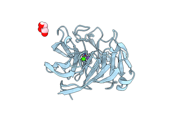 7T8D image