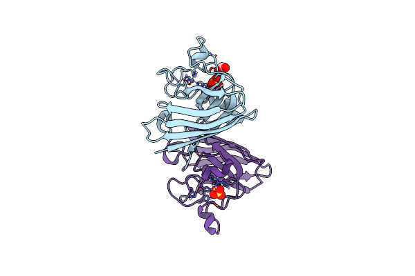 7T8E image