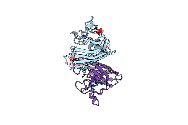 7T8F image