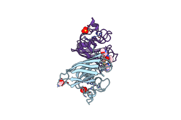 7T8H image