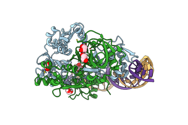 7T8K image