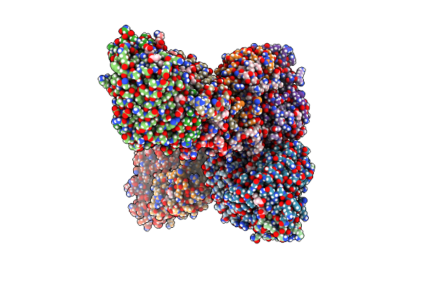7T8S image