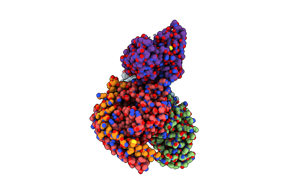 7T96 image