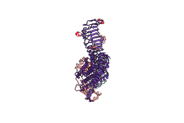 7T9M image