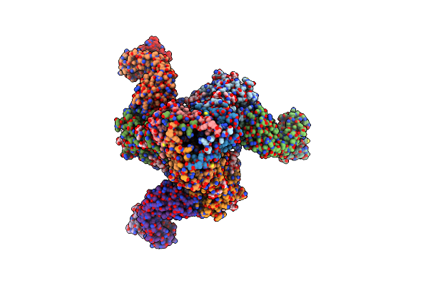 7T9T image