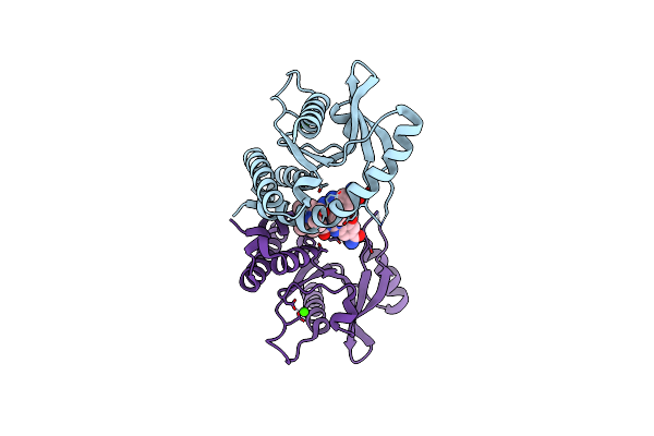 7T9V image