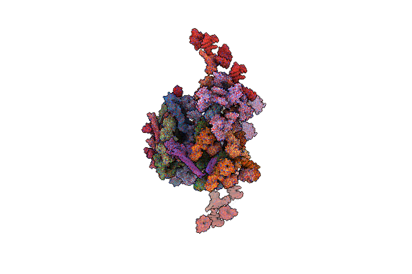 7TBL image