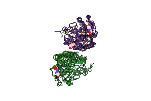 7TC2 image