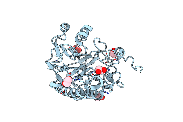 7TC3 image