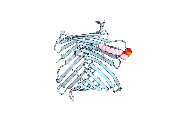 7TCV image