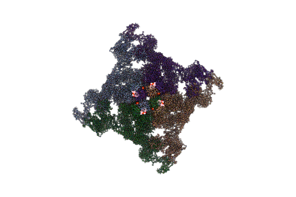 7TDG image