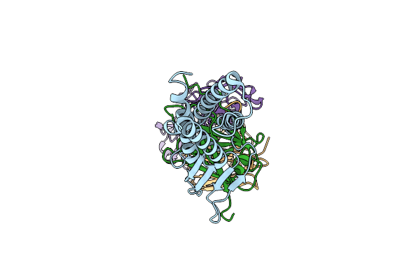 7TDM image