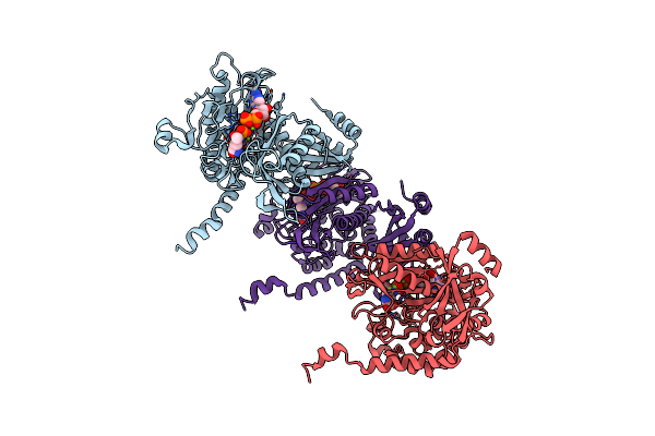 7TDP image