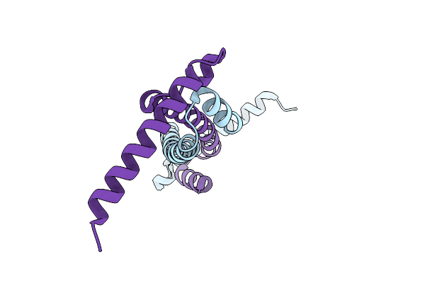 7TDQ image