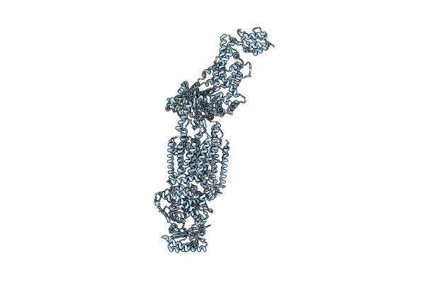 7TDT image